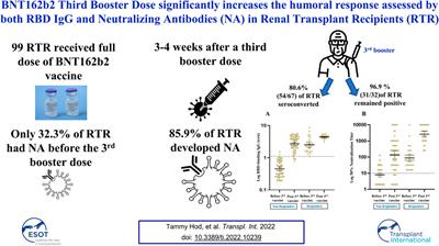 BNT162b2 Third Booster Dose Significantly Increases the Humoral Response Assessed by Both RBD IgG and Neutralizing Antibodies in Renal Transplant Recipients